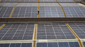 Zetwerk to supply solar modules to NTPC-REL